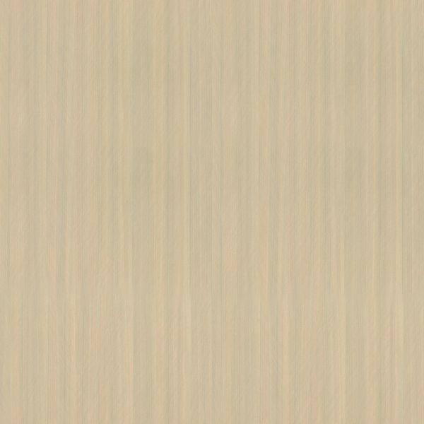 BS-6860 大漠黄杨-A